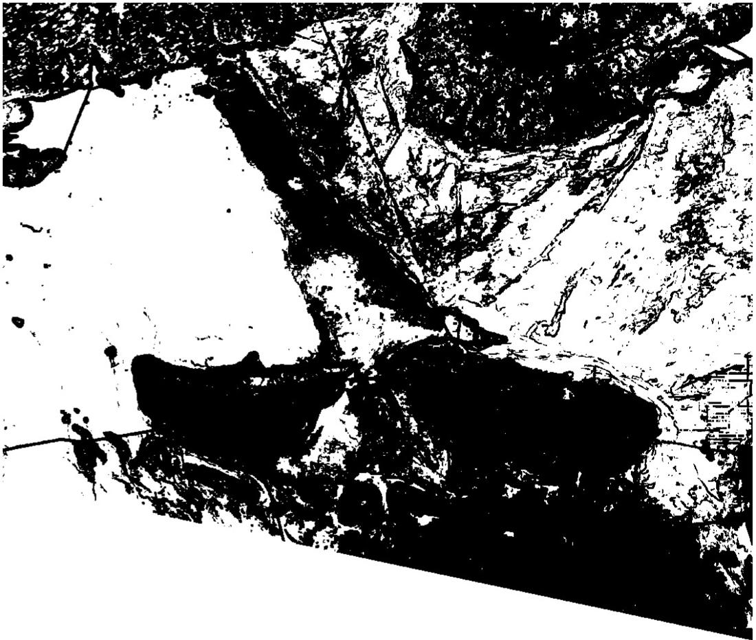 Homogeneity map, white where ground is uniform